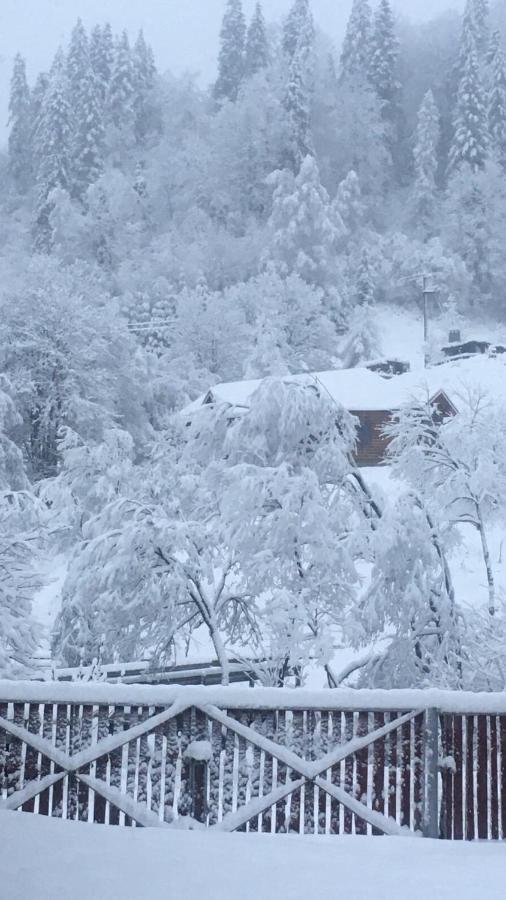 Privatna Sadiba Chalet Орявчик Экстерьер фото